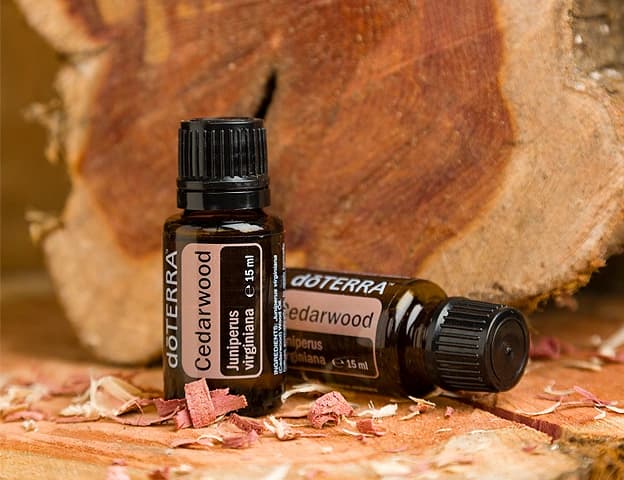 Uleiul esential doTERRA Cedarwood